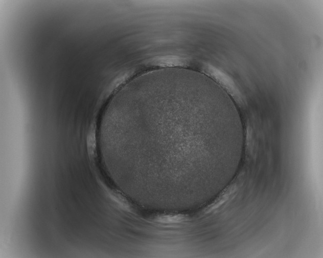 X0000115540202200911131551