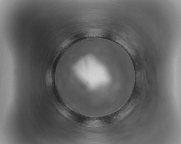 X0000115540203200911131551