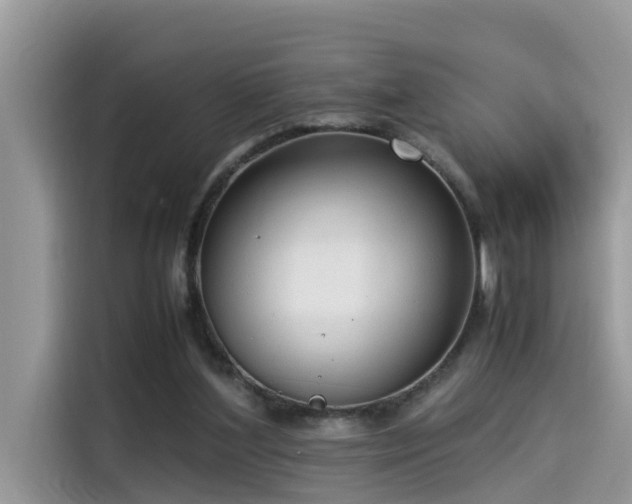 X0000115540204200911131551