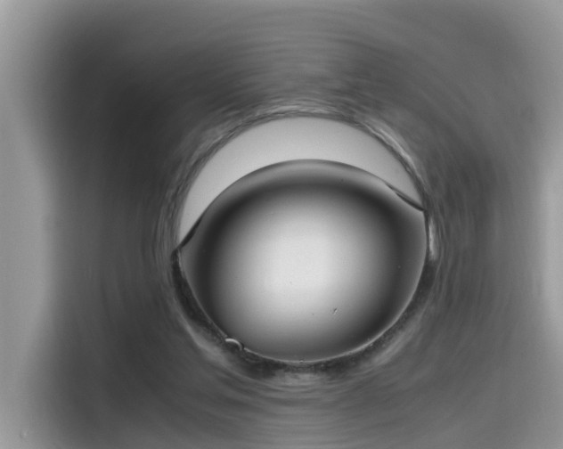 X0000115540205200911131551