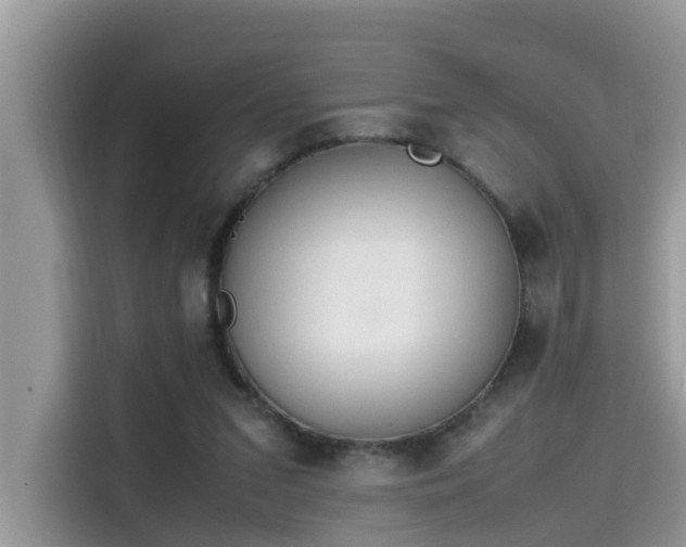 X0000115540207200911131551