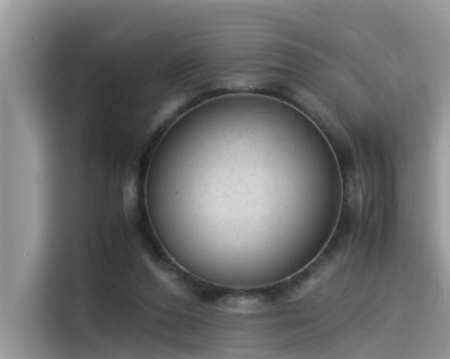 X0000115540208200911131551