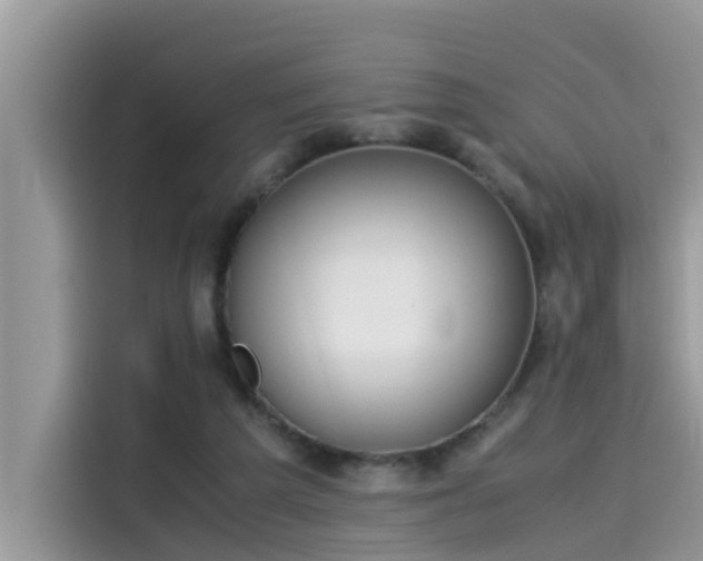 X0000115540209200911131551