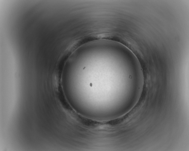 X0000115540210200911131551