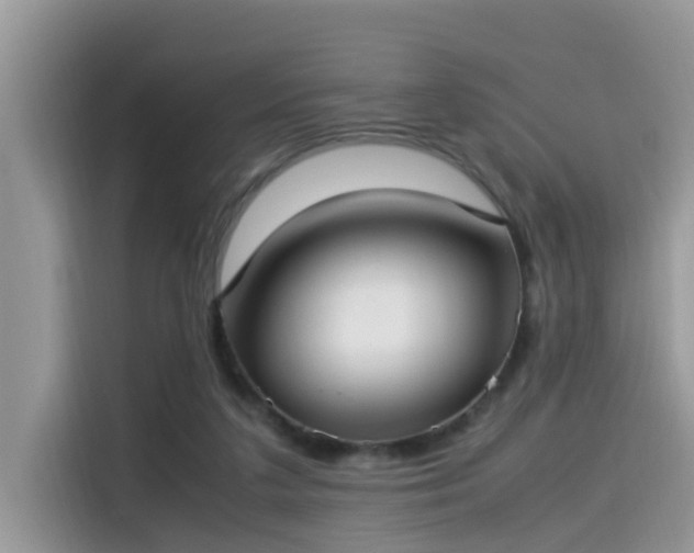 X0000115540211200911131551