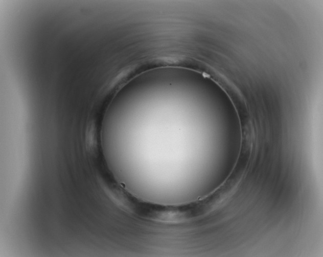 X0000115540212200911131551