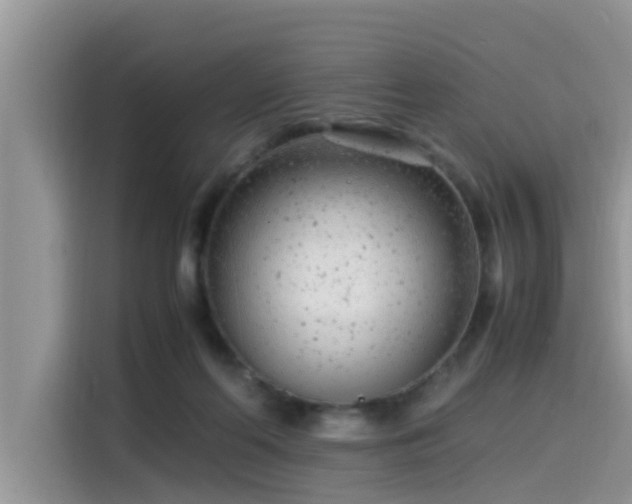 X0000115540214200911131551