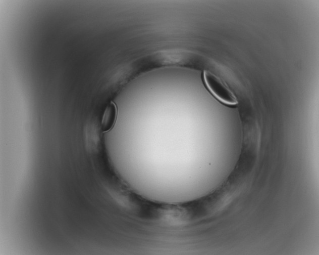 X0000115540215200911131551