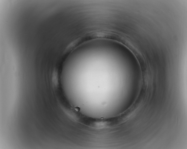 X0000115540216200911131551