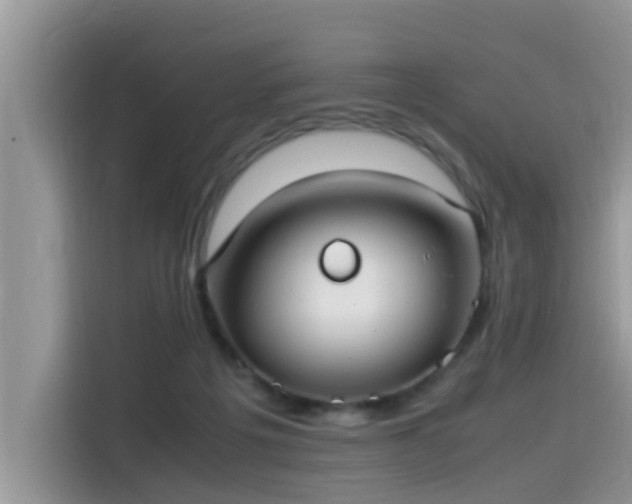 X0000115540217200911131550