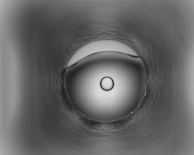 X0000115540223200911131550