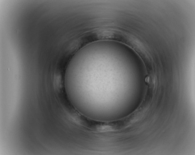 X0000115540224200911131550