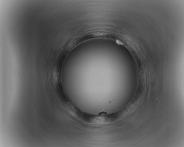 X0000115540227200911131550