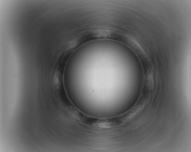 X0000115540228200911131550