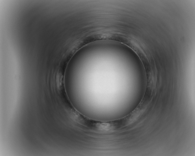 X0000115540230200911131550