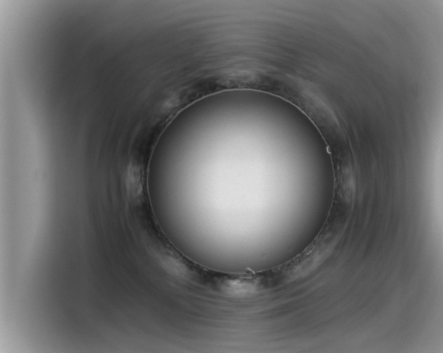 X0000115540232200911131550