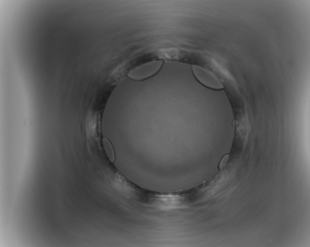 X0000115540233200911131550