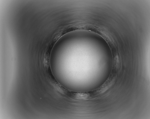 X0000115540234200911131550