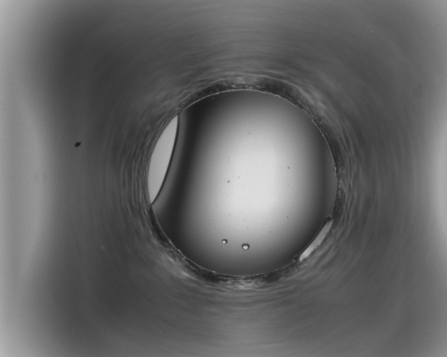 X0000115540235200911131550