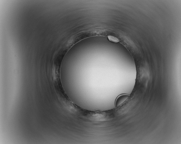 X0000115540236200911131550