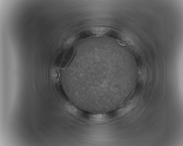 X0000115540237200911131550