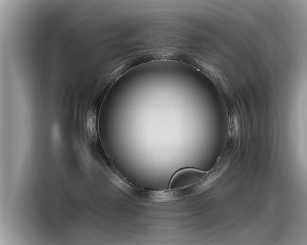 X0000115540238200911131550