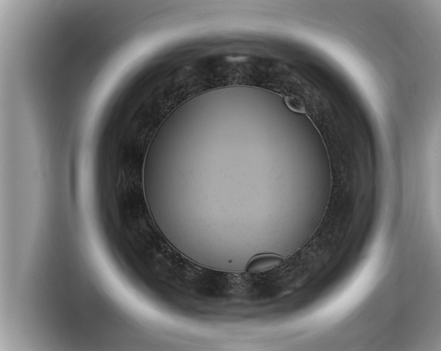 X0000115540239200911131550