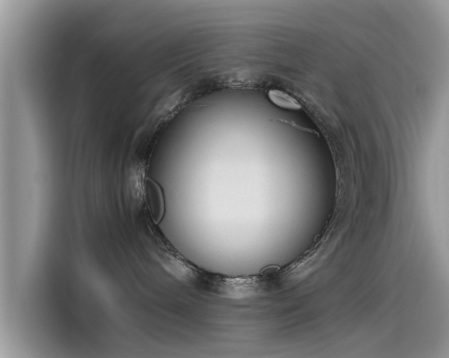 X0000115540240200911131550