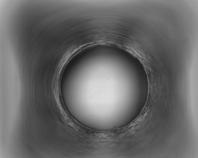 X0000115540241200911131550