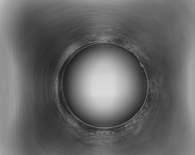 X0000115540242200911131550