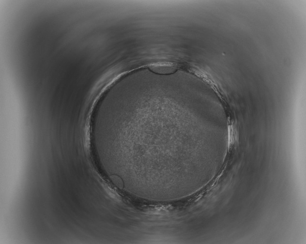 X0000115540243200911131550