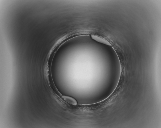 X0000115540244200911131550