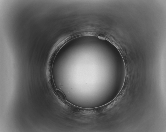 X0000115540245200911131550