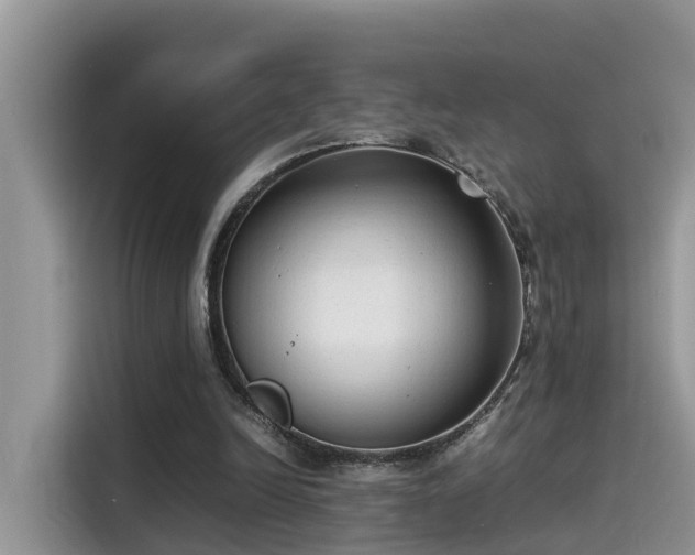 X0000115540246200911131550