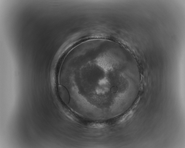 X0000115540247200911131550