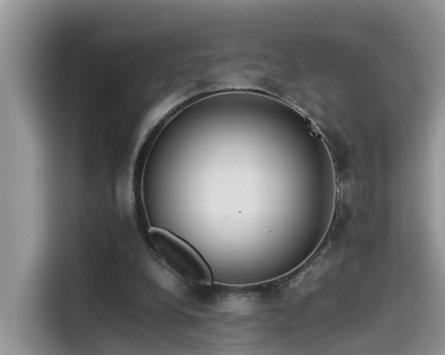 X0000115540248200911131550