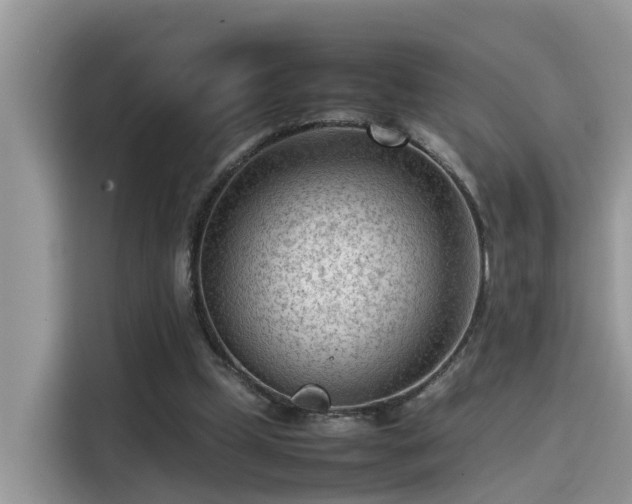 X0000115540249200911131550