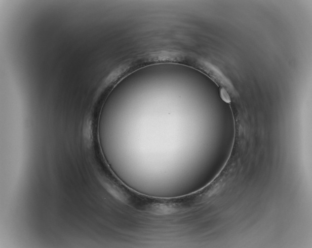 X0000115540250200911131550