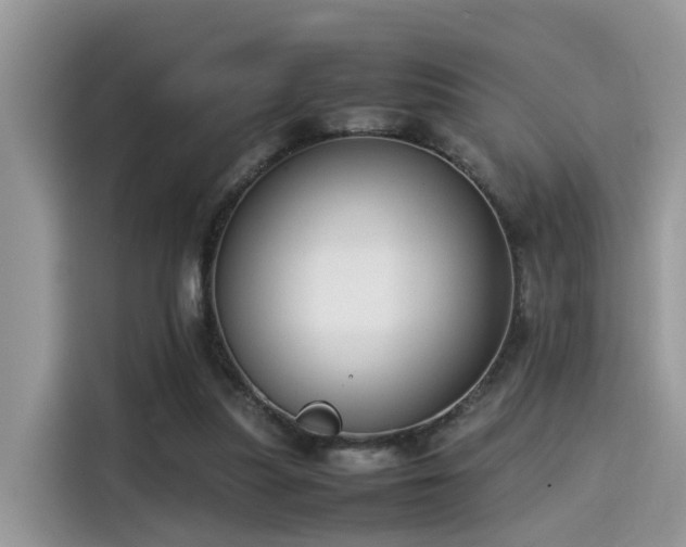 X0000115540251200911131550