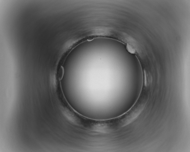 X0000115540252200911131550