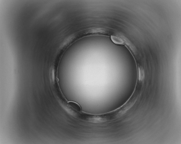 X0000115540253200911131550