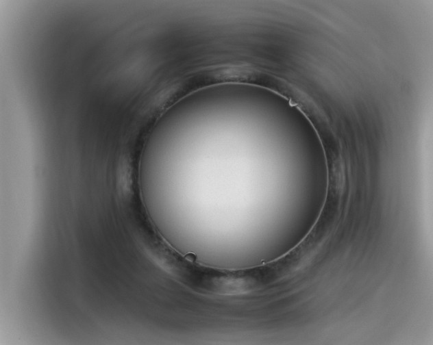 X0000115540255200911131550