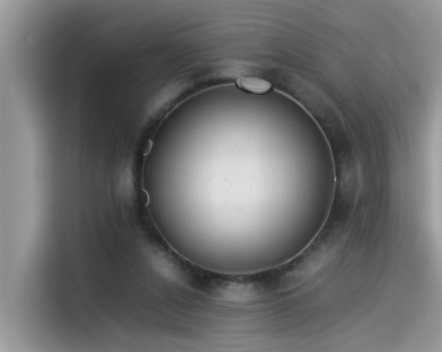 X0000115540256200911131550