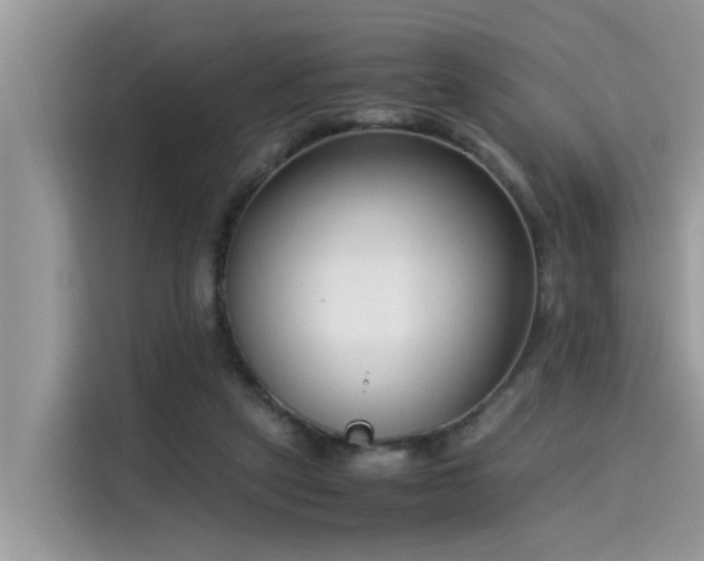 X0000115540257200911131550