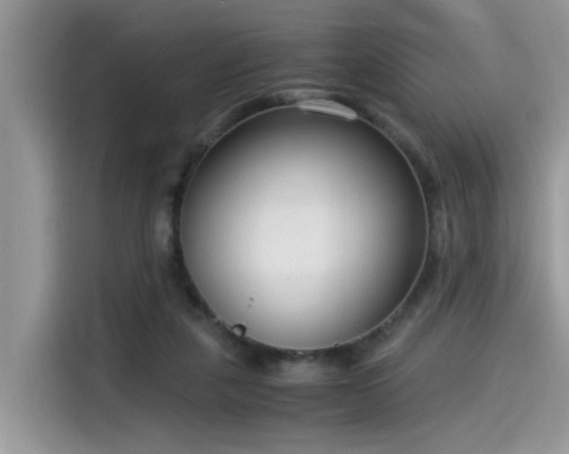 X0000115540259200911131550