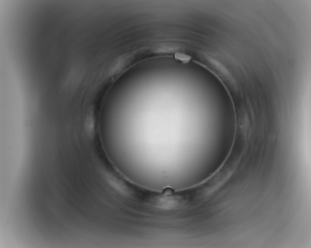 X0000115540261200911131550