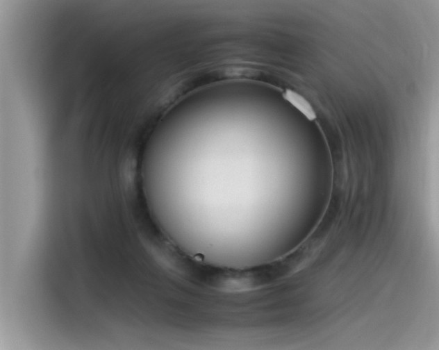 X0000115540263200911131550