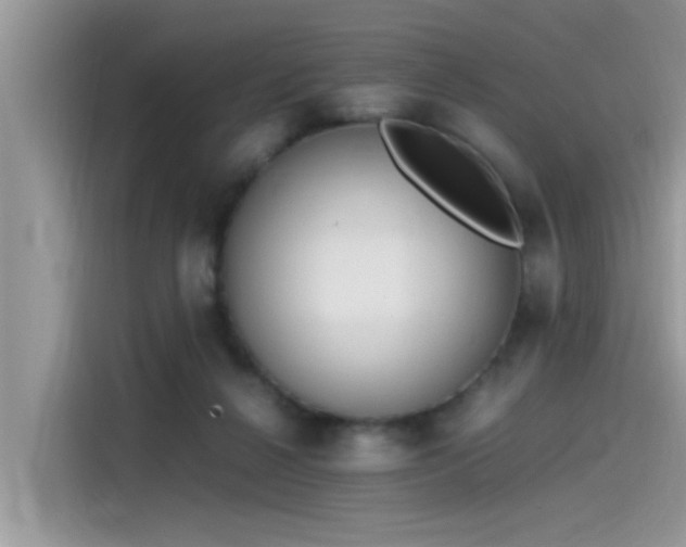 X0000115540264200911131550