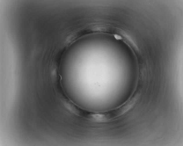 X0000115540265200911131550