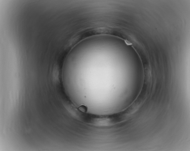 X0000115540266200911131550